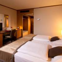 Superior Double Room with Extra Bed