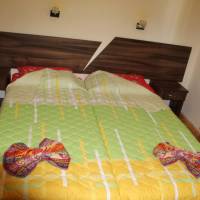 Economy Twin Room