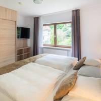 Apartment King Room with Balcony