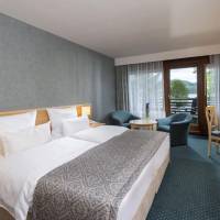 Studio Double Room with Balcony and Lake View