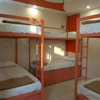 Bed in 6-Bed Dormitory Room