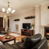 One-Bedroom Apartment with Fireplace