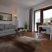 One-Bedroom Apartment with Balcony 4