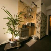 Standard Studio