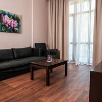 Deluxe One-Bedroom Apartment