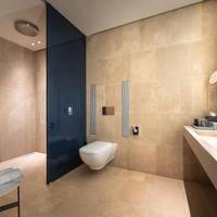 Premium Accessible Park View Room