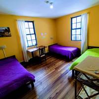 Single Bed in Mixed Dormitory Room