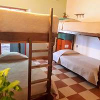 Bunk Bed in Mixed Dormitory Room