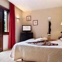 Double or Twin Room with Terrace