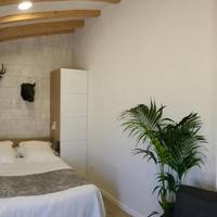 Superior Apartment with Garden View 