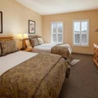 Room #36333735