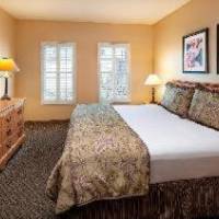 Room #36333737