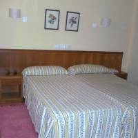 Budget Single Room