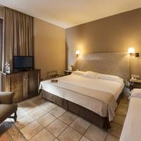 Double Room with Extra Bed (2 Adults + 1 Child)