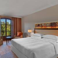 Superior King Room with Resort View 