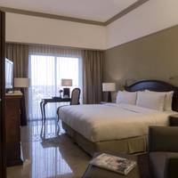 Master Suite 1 King