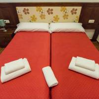 Budget Small Double Room