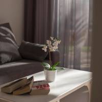 One-Bedroom Apartment (2 Adults)