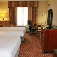 One-Bedroom Queen Suite