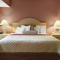 One-Bedroom King Tower Suite - Non-Smoking