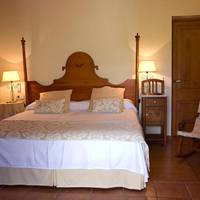 Double Superior Room with terrace