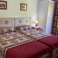 Double or Twin Room with Mountain View