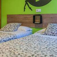 Large Single Room