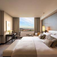 Deluxe King  Room with City View