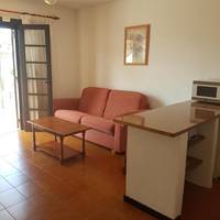 Standard One-Bedroom Apartment