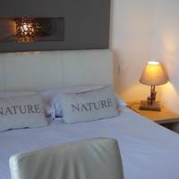 Superior Double Room with Loire View