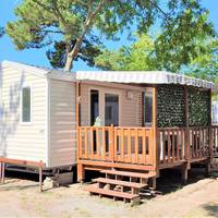Mobile Home