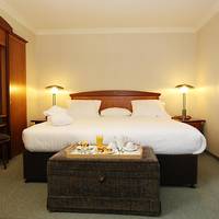 Studio Suite with Double Bed