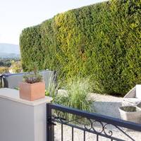 Room sea view & Terrace with Jacuzzi