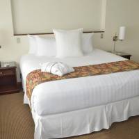 Senior Suite
