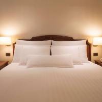 Swiss Advantage Room with One King bed