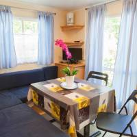 Economy Mobile Home