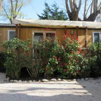 Two-Bedroom Bungalow (4 Adults)