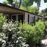 Mobile Home