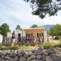Mobile Home