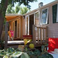 Mobile Home