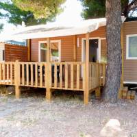 Mobile Home