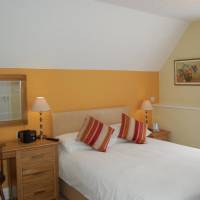 Family Room (2 Adults + 1 Child)