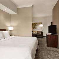 King Suite with Sofa Bed