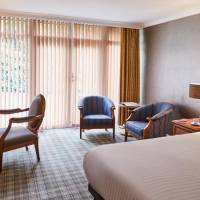 Junior King Suite with Patio or Balcony