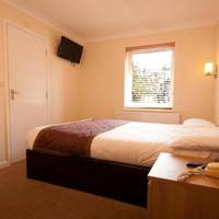 Room #21735990