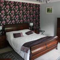 King Room with Garden View