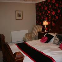King Room with Lake View
