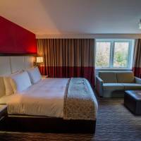 Accessible King Guest Room