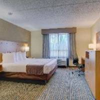 Room #5885633