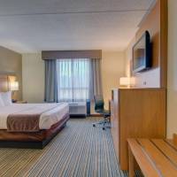 King Room - Pet Friendly